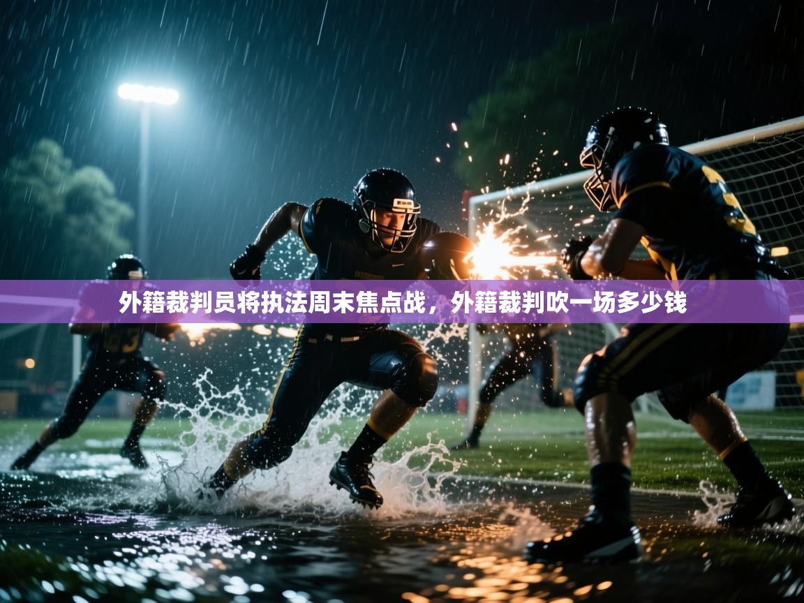 开云体育官方版下载-外籍裁判员将执法周末焦点战,外籍裁判吹一场多少钱 第3张