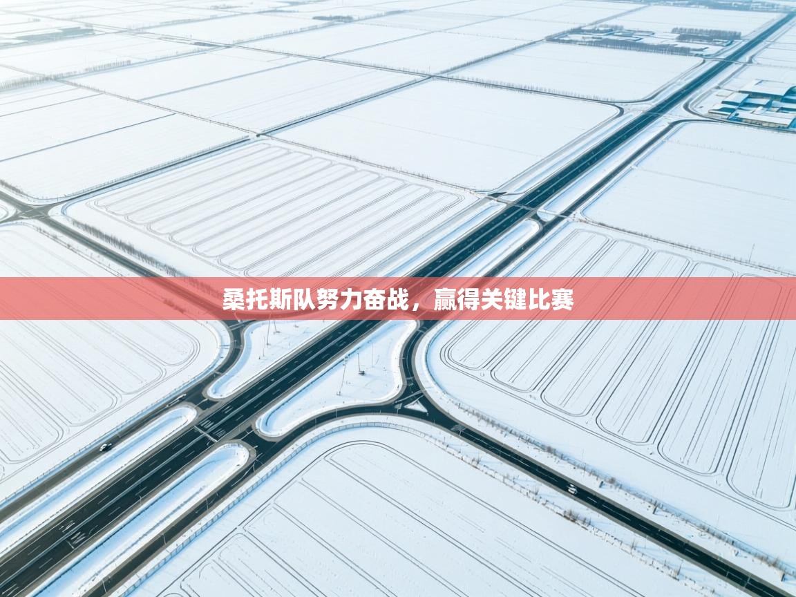 开云体育app投诉-桑托斯队努力奋战，赢得关键比赛  第1张