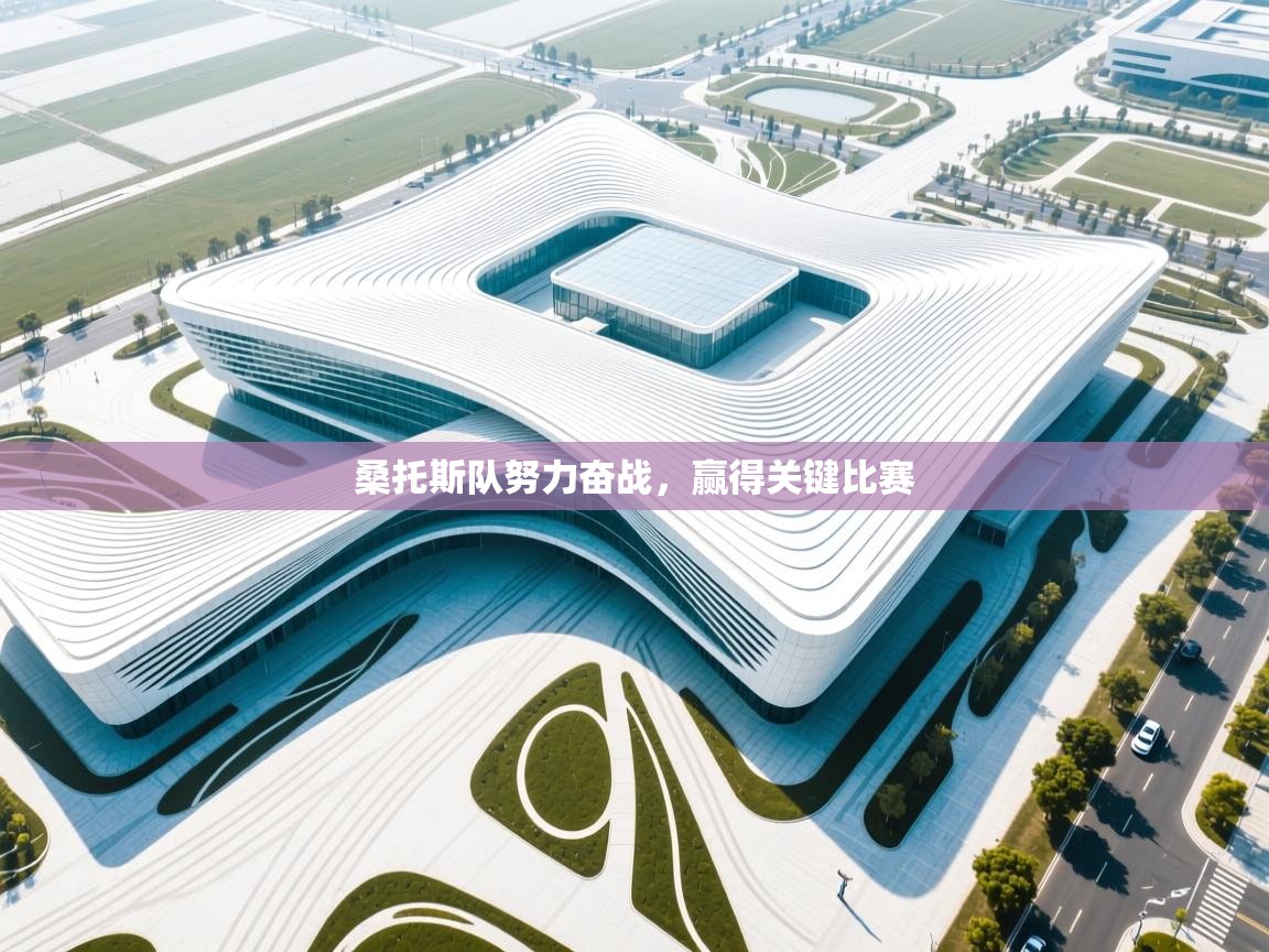 开云体育app投诉-桑托斯队努力奋战，赢得关键比赛  第2张