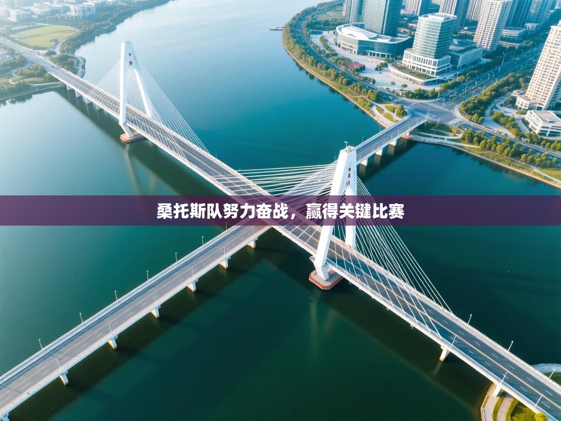 开云体育app投诉-桑托斯队努力奋战，赢得关键比赛  第3张