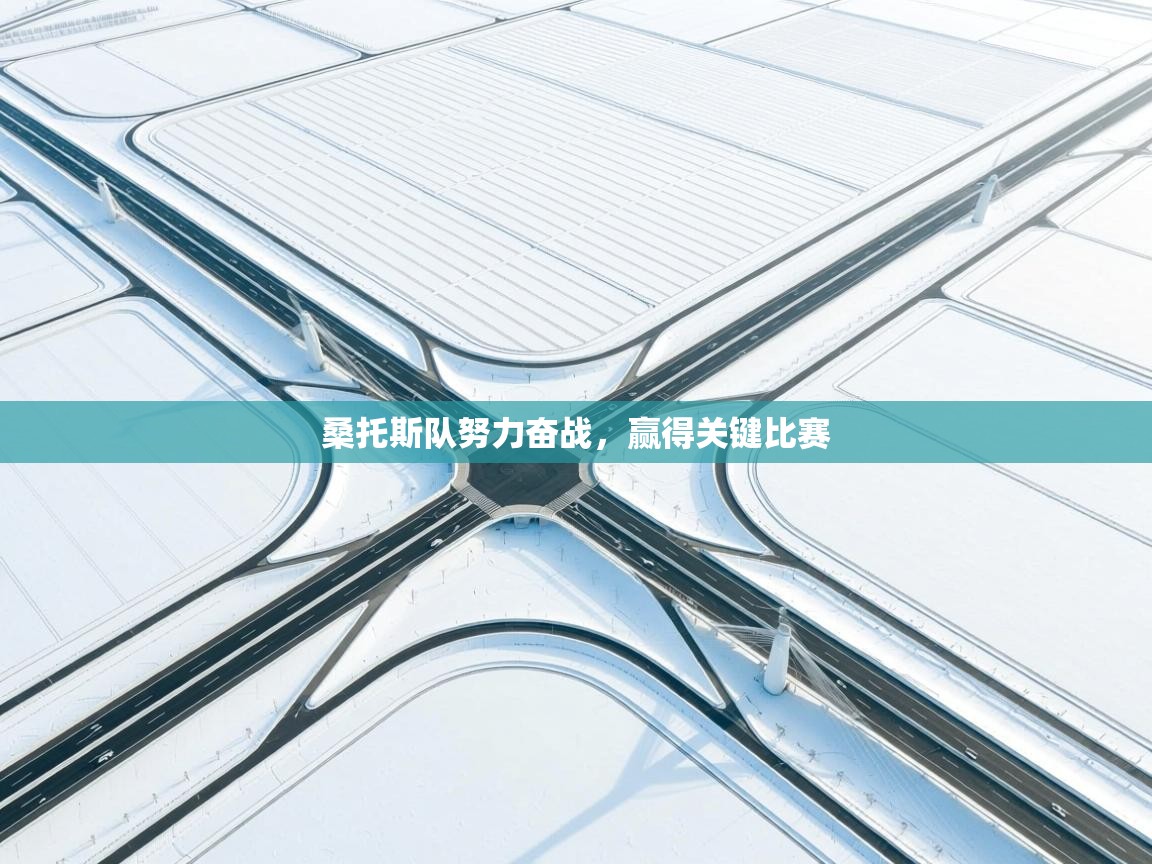 开云体育app投诉-桑托斯队努力奋战，赢得关键比赛  第4张