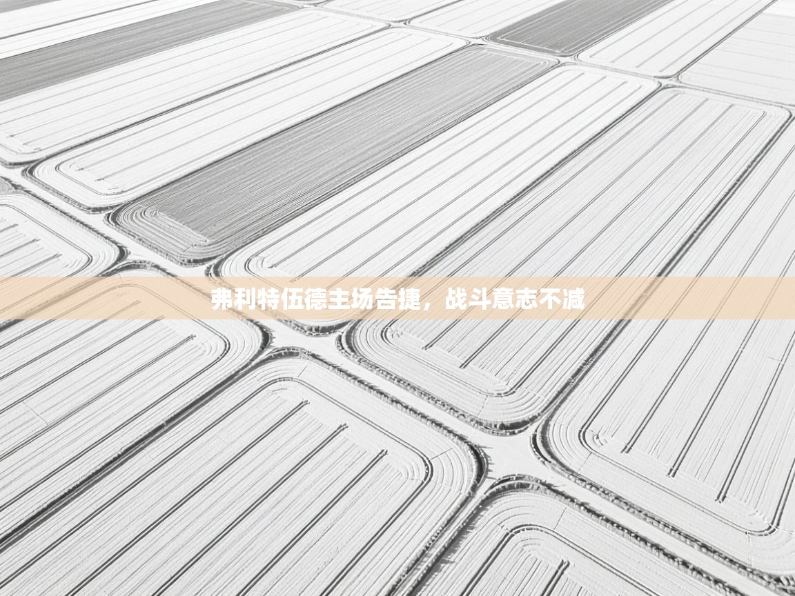 云开官网-弗利特伍德主场告捷,战斗意志不减 第1张