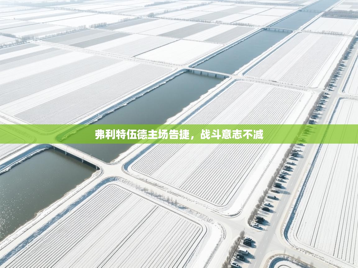 云开官网-弗利特伍德主场告捷,战斗意志不减 第3张