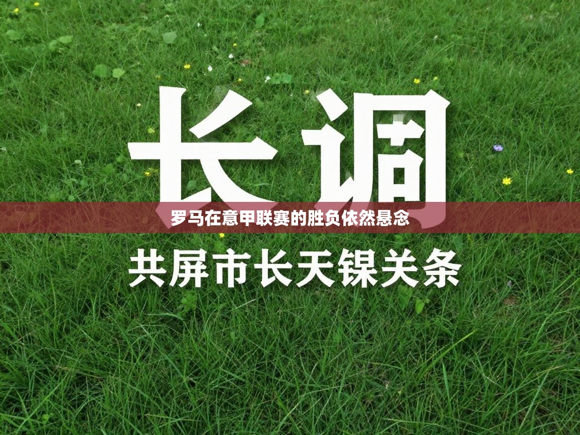 云开体育入口-罗马在意甲联赛的胜负依然悬念 第2张