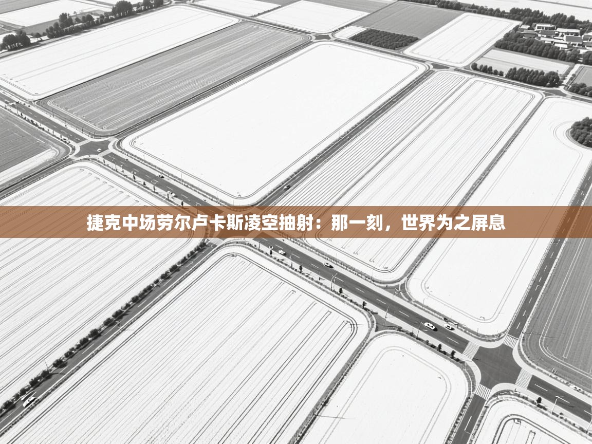 开云体育PC版网页版登录-捷克中场劳尔卢卡斯凌空抽射：那一刻，世界为之屏息  第1张