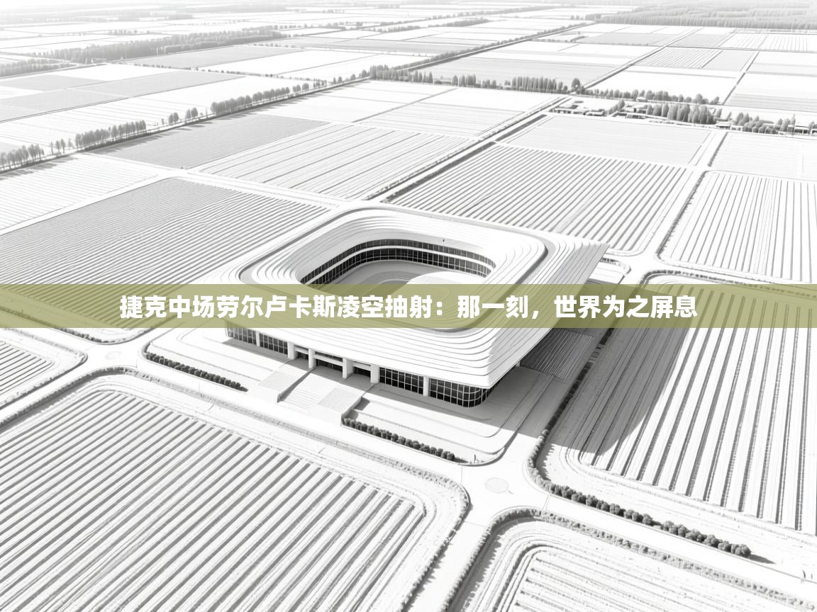 开云体育PC版网页版登录-捷克中场劳尔卢卡斯凌空抽射：那一刻，世界为之屏息  第2张