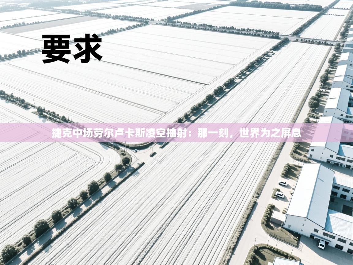 开云体育PC版网页版登录-捷克中场劳尔卢卡斯凌空抽射：那一刻，世界为之屏息  第3张