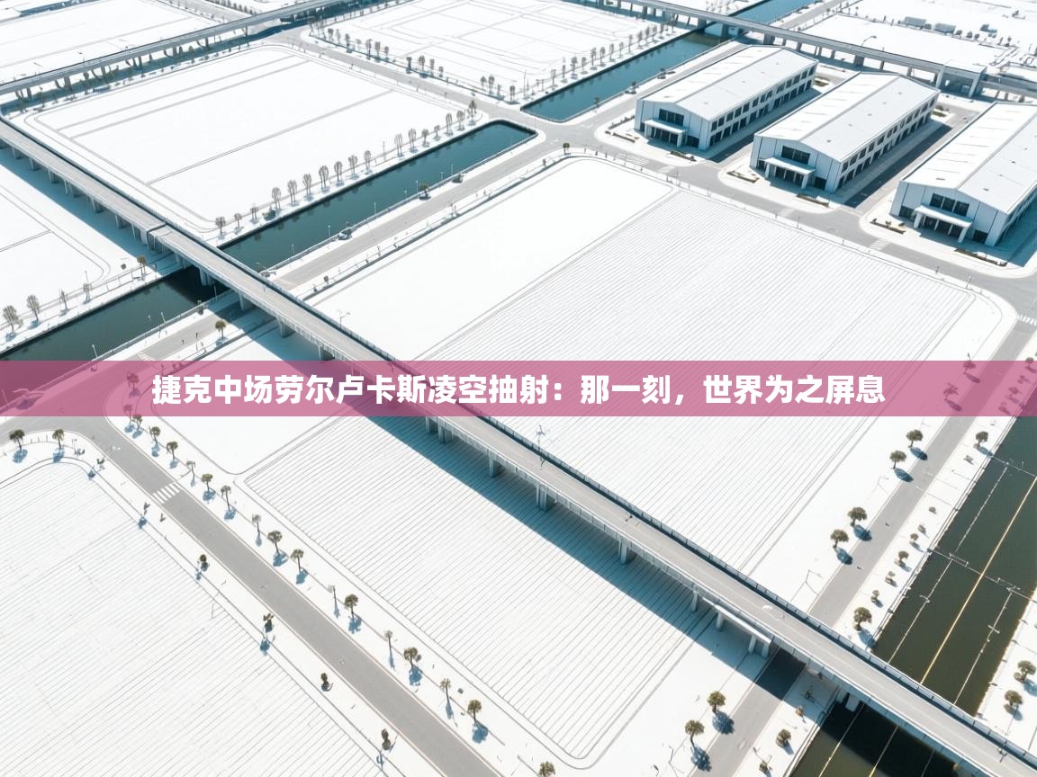 开云体育PC版网页版登录-捷克中场劳尔卢卡斯凌空抽射：那一刻，世界为之屏息  第4张