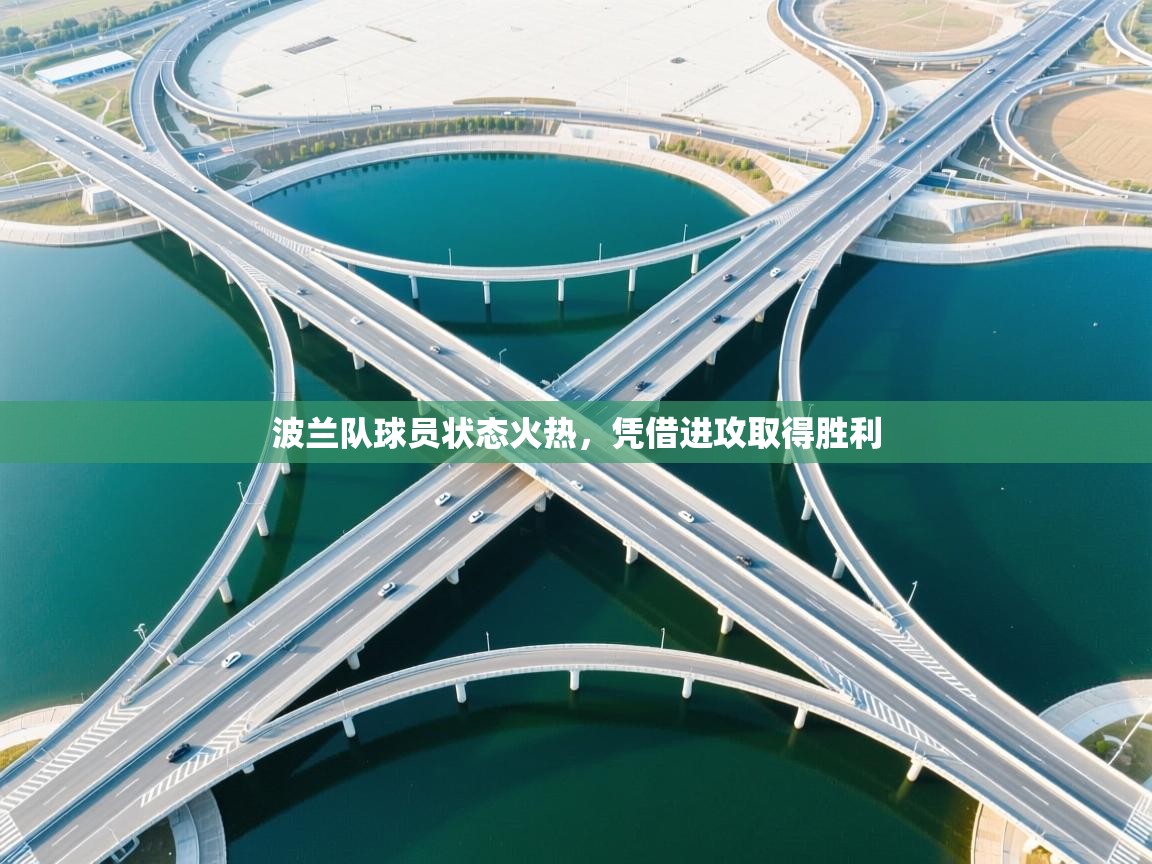 开云体育工单提交入口-波兰队球员状态火热，凭借进攻取得胜利  第2张