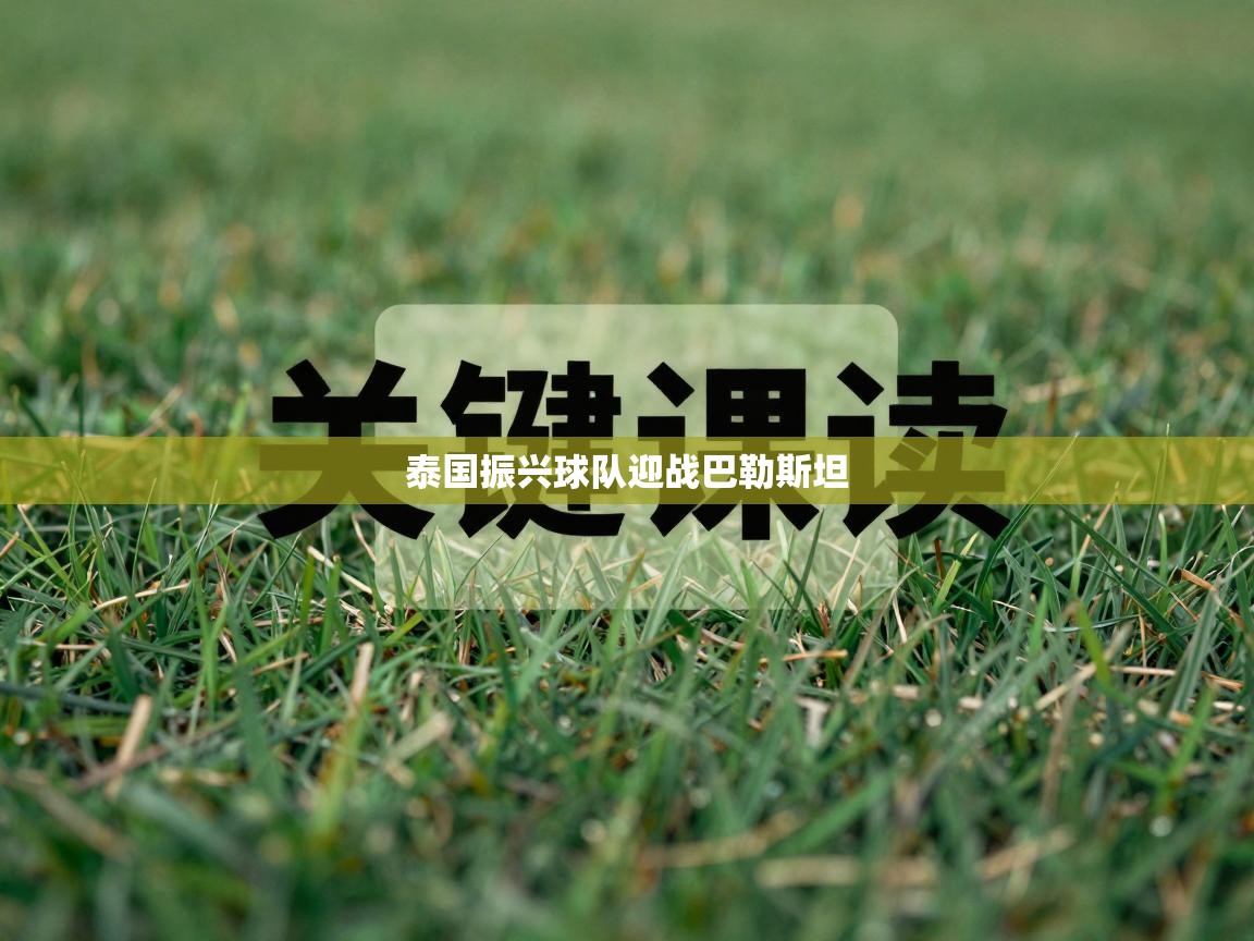 开云体育视频直播低延迟-泰国振兴球队迎战巴勒斯坦