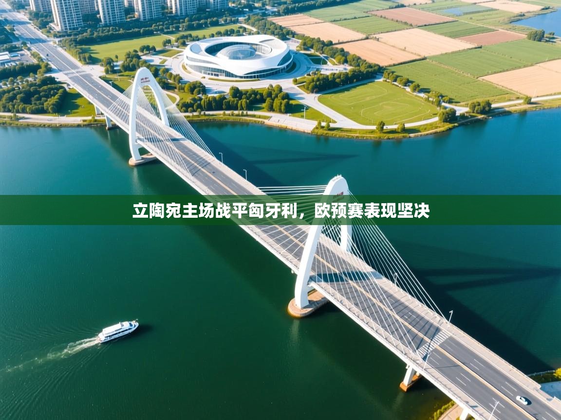 开云体育推送通知设置-立陶宛主场战平匈牙利，欧预赛表现坚决  第1张