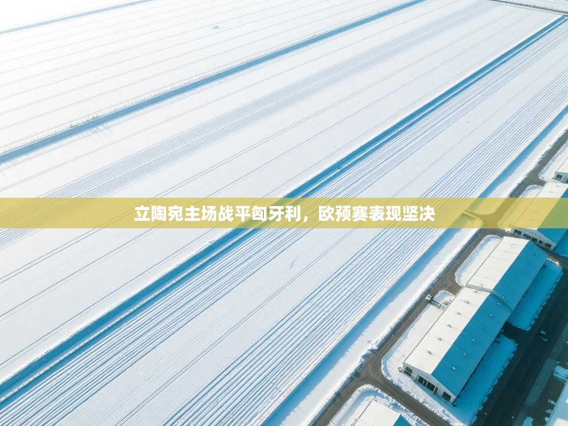 开云体育推送通知设置-立陶宛主场战平匈牙利，欧预赛表现坚决  第2张