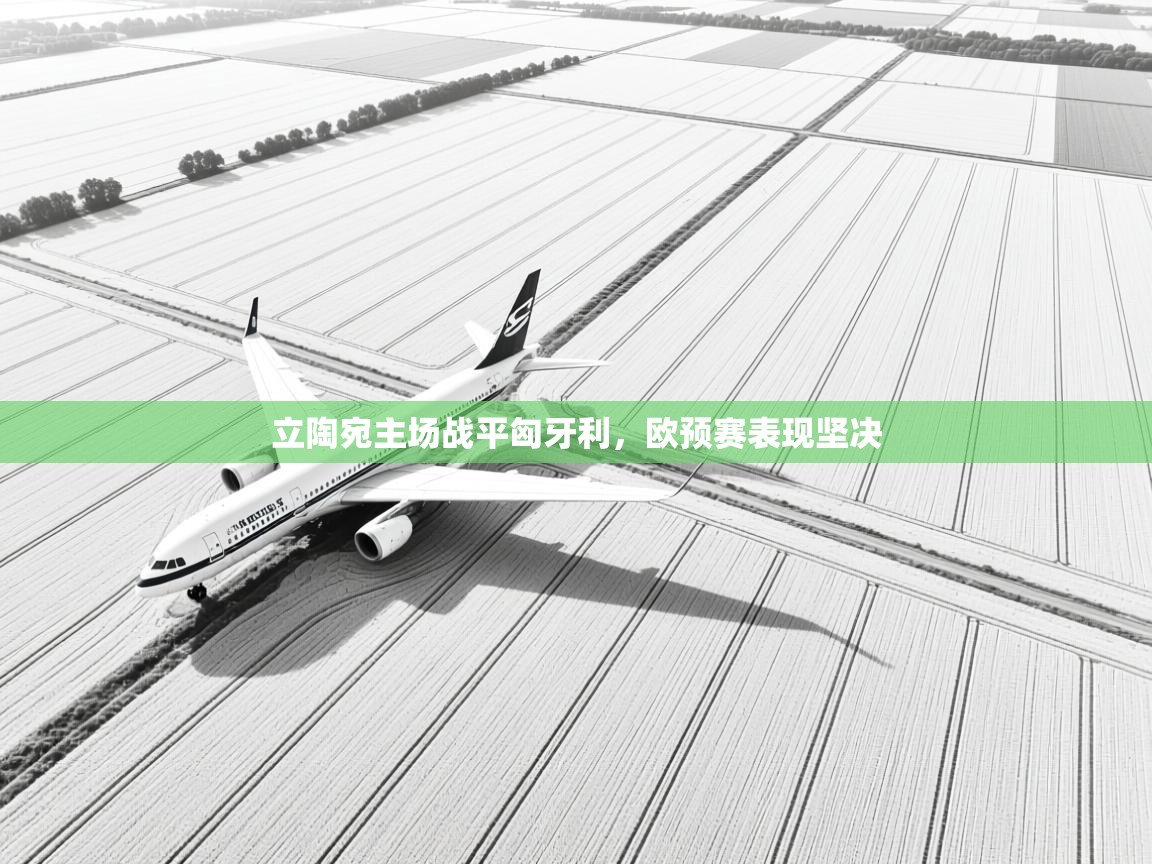 开云体育推送通知设置-立陶宛主场战平匈牙利，欧预赛表现坚决  第3张