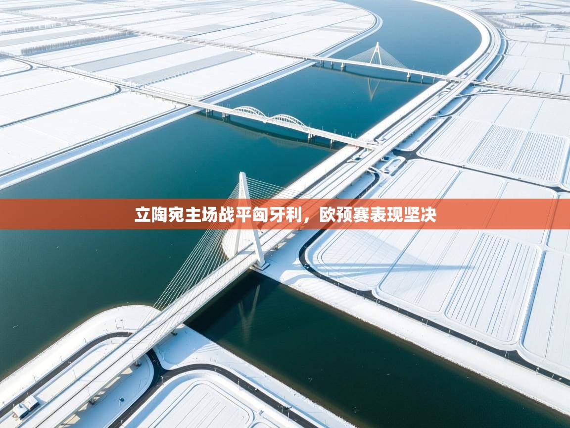 开云体育推送通知设置-立陶宛主场战平匈牙利，欧预赛表现坚决  第4张